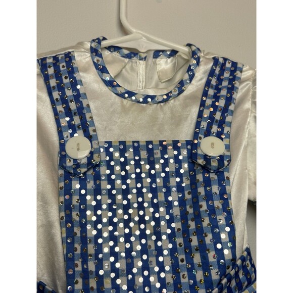 Wizard of Oz Dorothy Costume Fits 3T-4T Halloween Girls Shimmer Dress - Picture 5 of 7